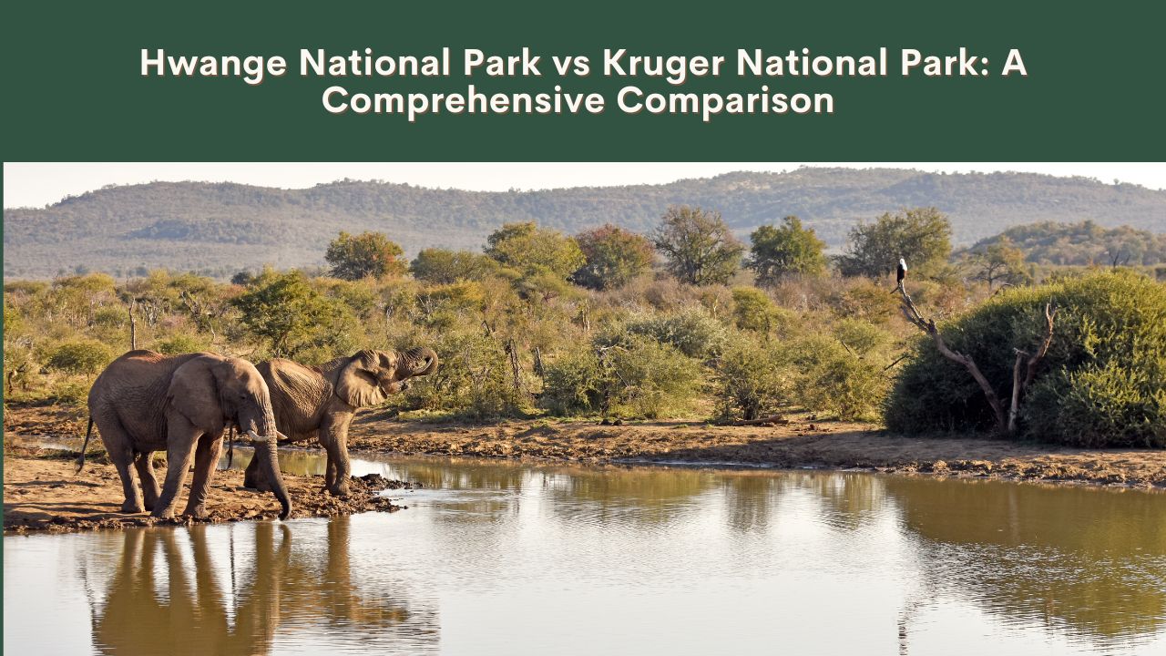 Hwange National Park vs Kruger National Park A Comprehensive Comparison